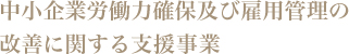 中小企業労働力確保及び雇用管理の
改善に関する支援事業