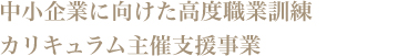 中小企業に向けた高度職業訓練
カリキュラム主催支援事業